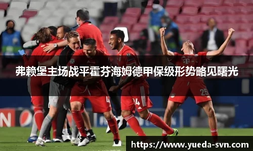 弗赖堡主场战平霍芬海姆德甲保级形势略见曙光