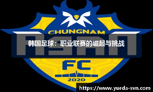 韩国足球：职业联赛的崛起与挑战