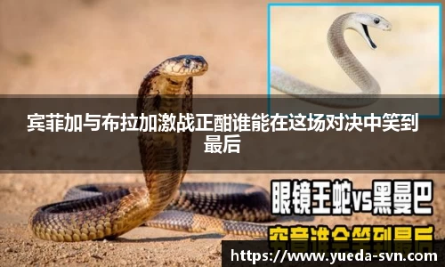 宾菲加与布拉加激战正酣谁能在这场对决中笑到最后